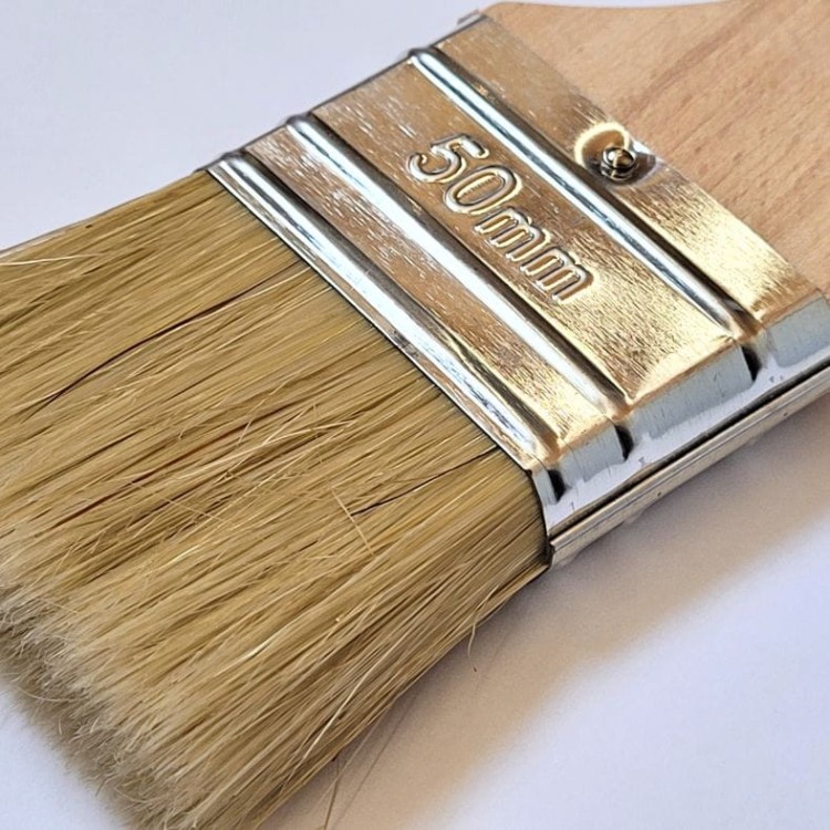 Pędzel angielski 50mm zbliżenie.jpg